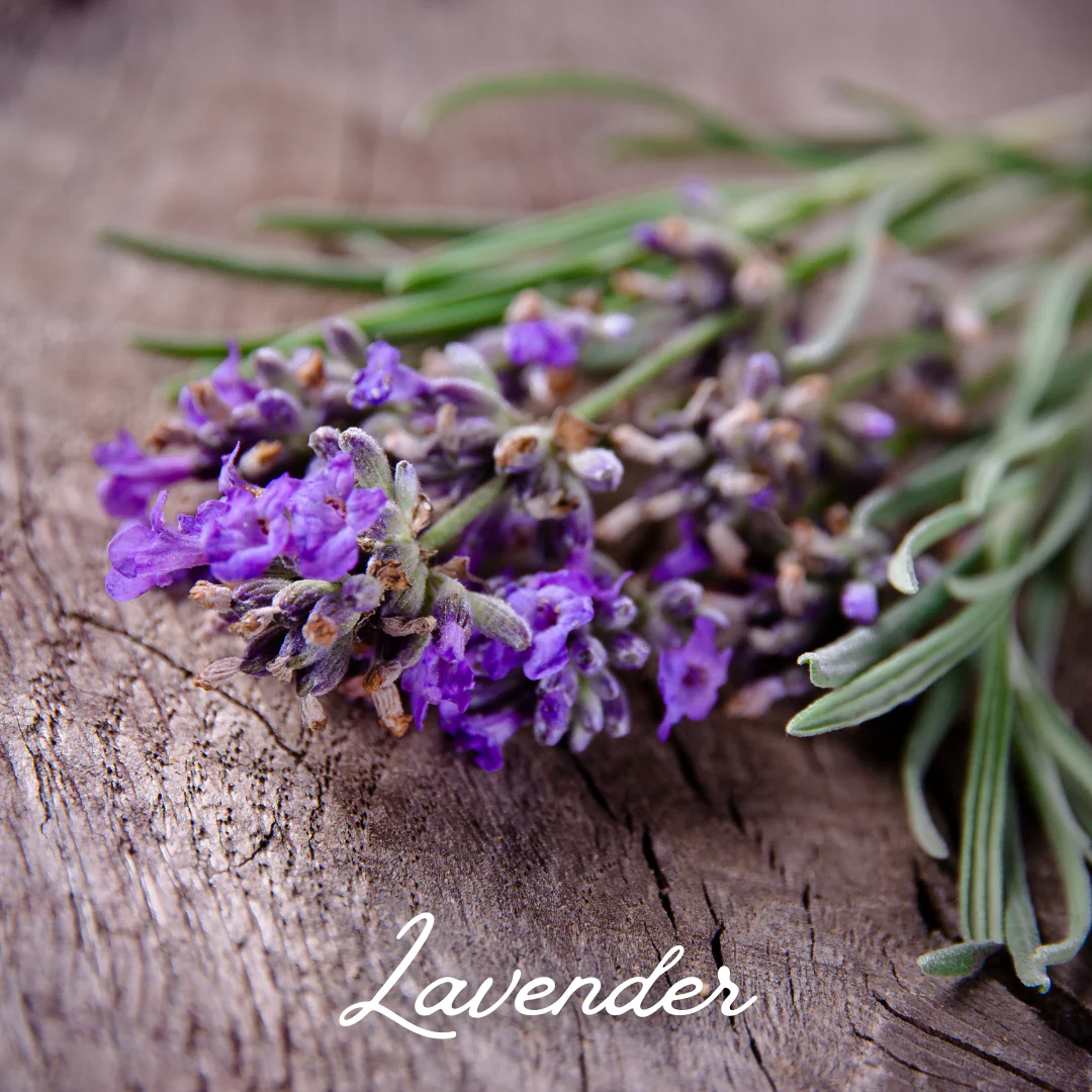 Lavender & Clear Quartz Essential Oil Candle - Image 4