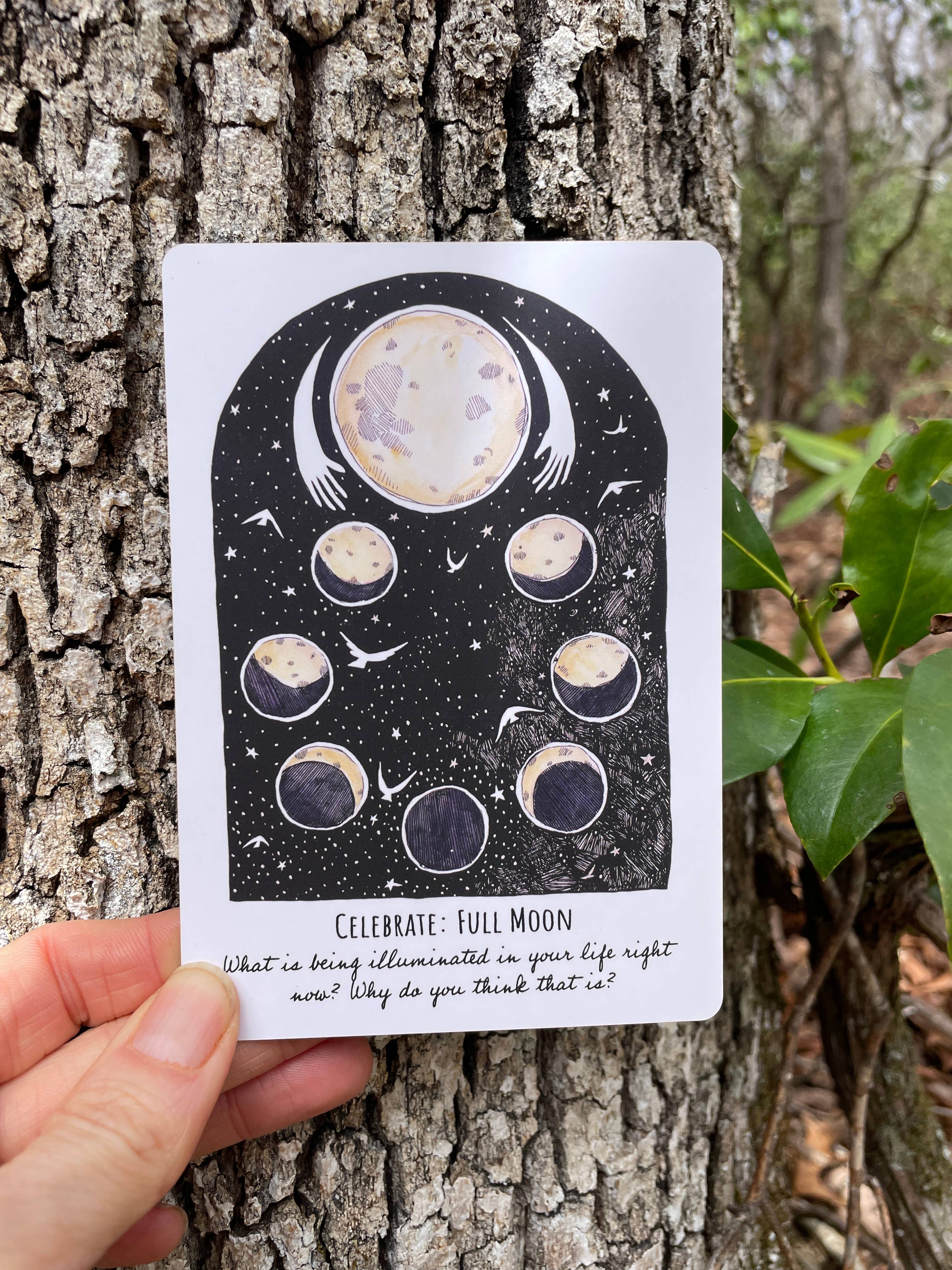 Phases and Forests Oracle Deck - Image 2