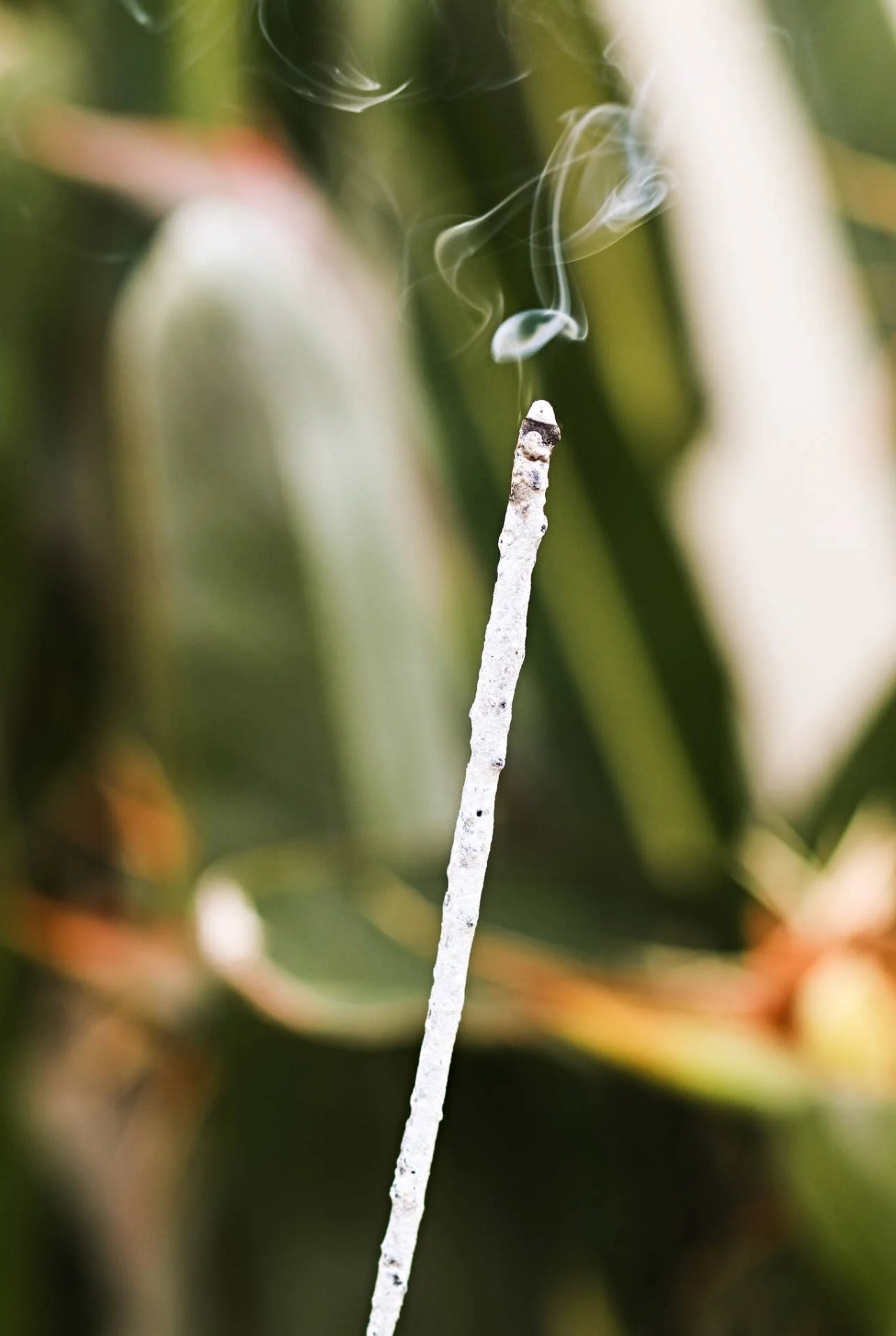 Pure White Copal Incense | Hand-Rolled in Tulum – 20h+ Burn - Image 3
