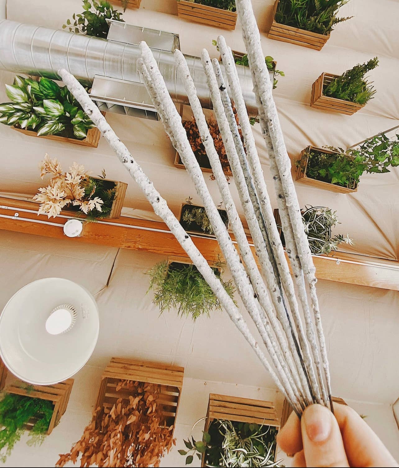 Pure White Copal Incense | Hand-Rolled in Tulum – 20h+ Burn - Image 8